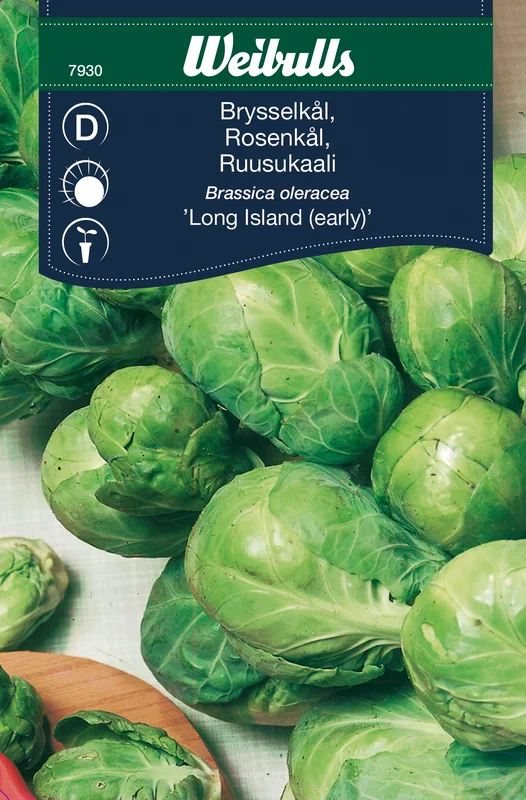 mustilapuutarha20261015110436317126