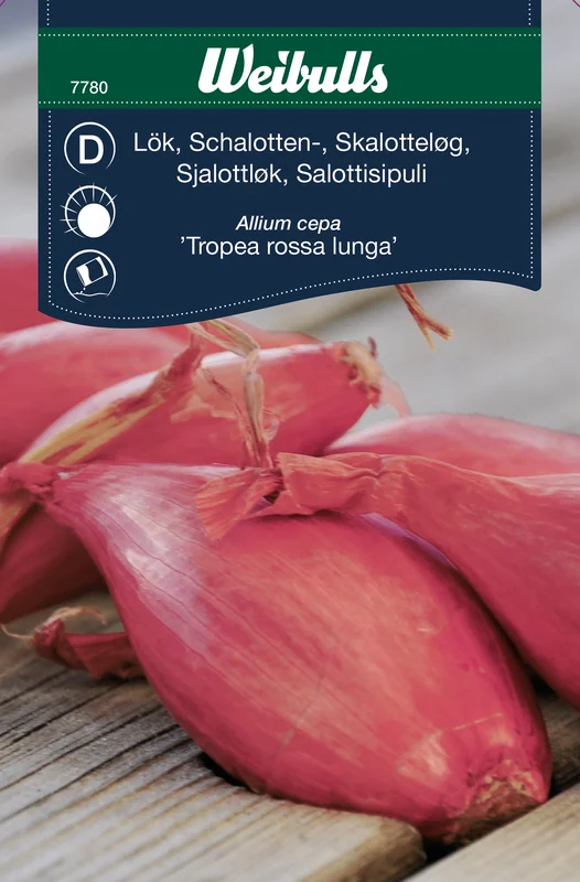mustilapuutarha20261015110440317148