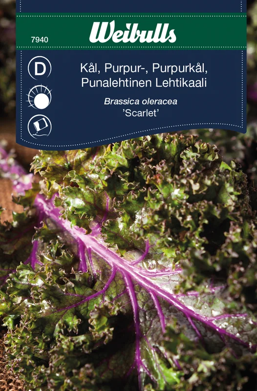 mustilapuutarha20261015110442317151