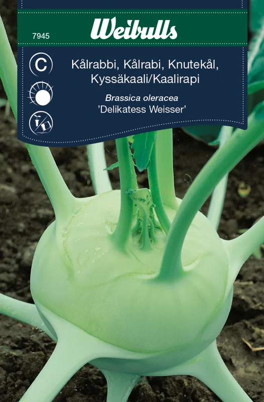mustilapuutarha20261015110445317167