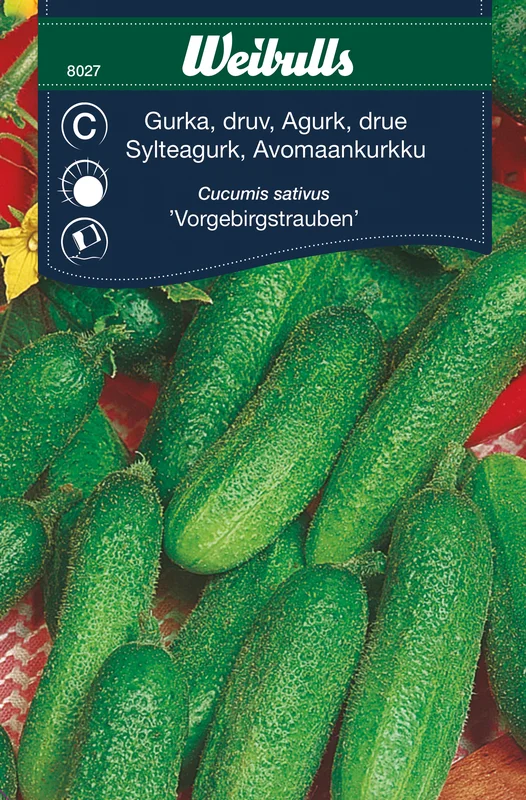 mustilapuutarha20261015110458317226