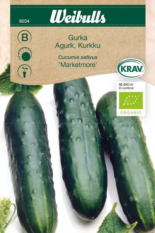 mustilapuutarha20261015110502317241