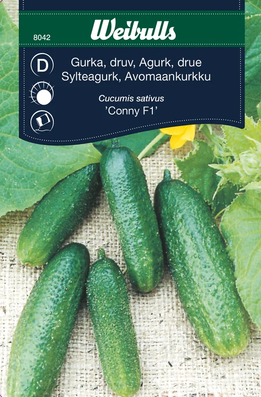 mustilapuutarha20261015110504317247