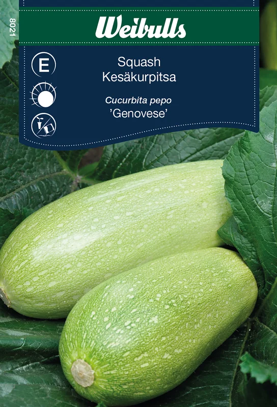 mustilapuutarha20261015110514317289