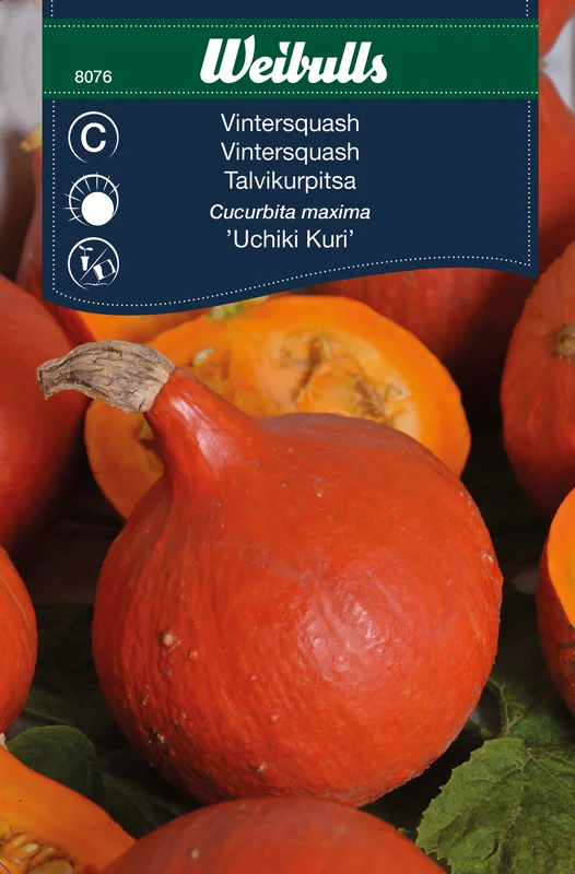mustilapuutarha20261015110521317322