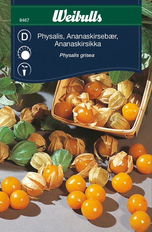 mustilapuutarha20261015110526317346