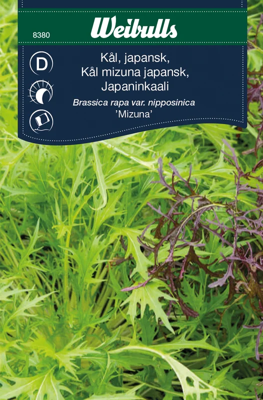 mustilapuutarha20261015110546317436