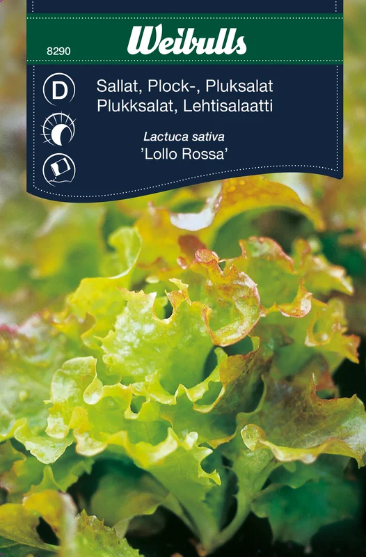 mustilapuutarha20261015110605317518