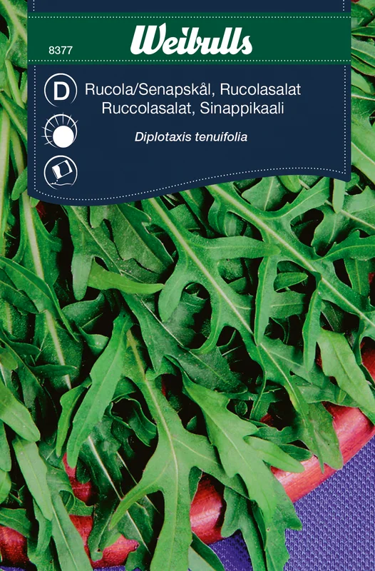 mustilapuutarha20261015110608317533