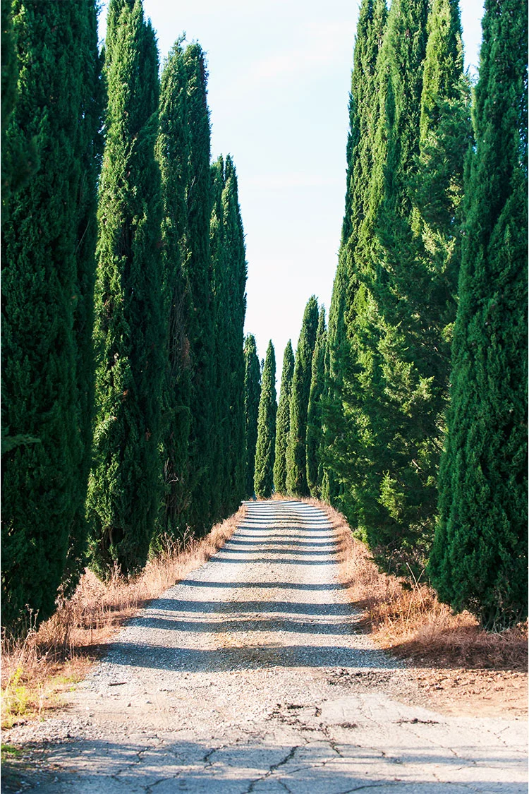 plantinavia20261015103822308457