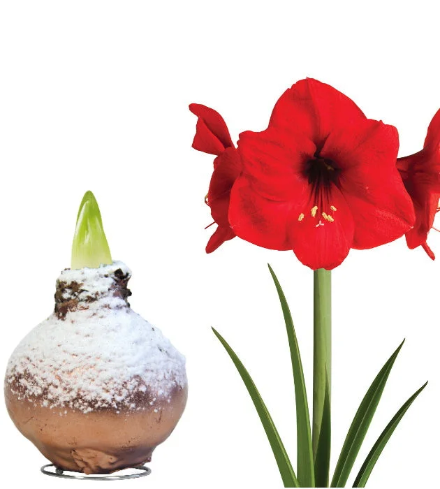 puutarha202609301607461103833