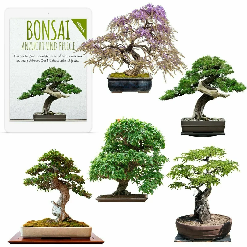 siemenvesa20261015102913303912