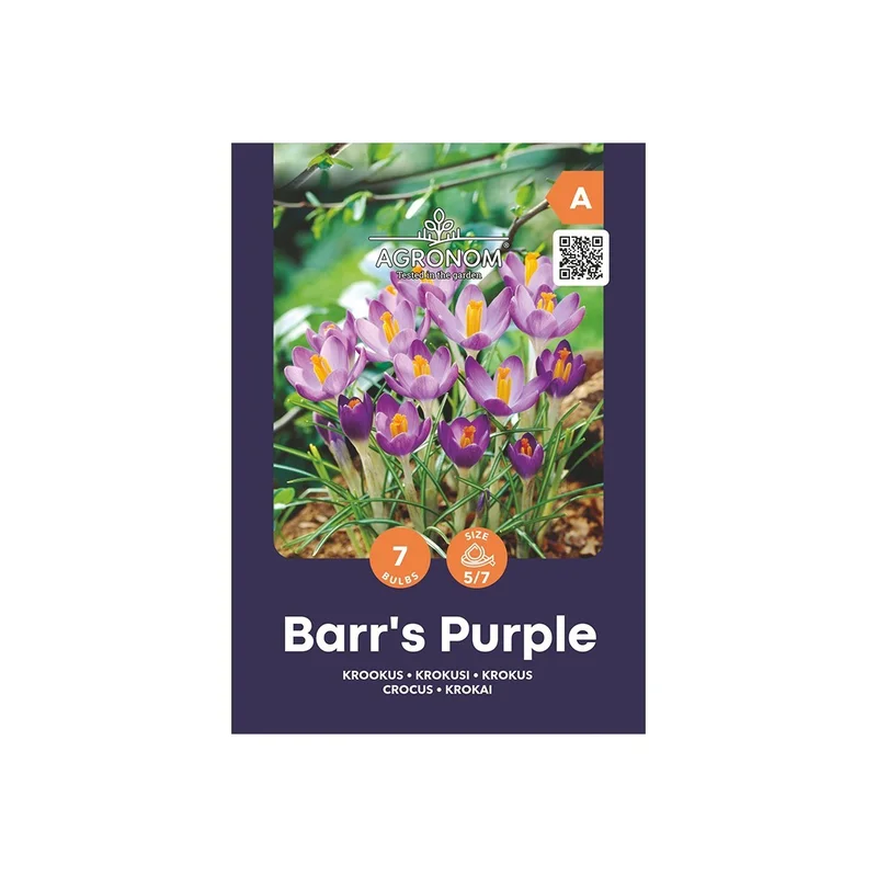 siemenvesa20261015102959304222