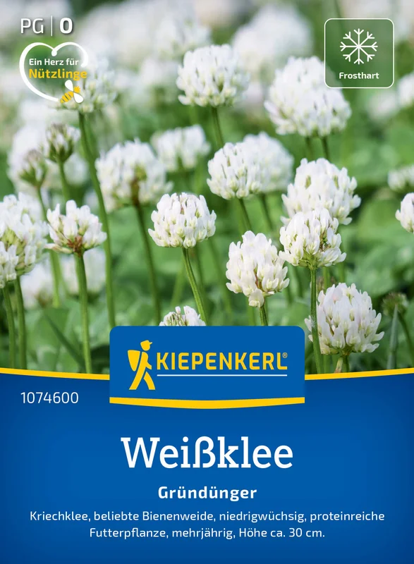 siemenvesa20261015103409306244