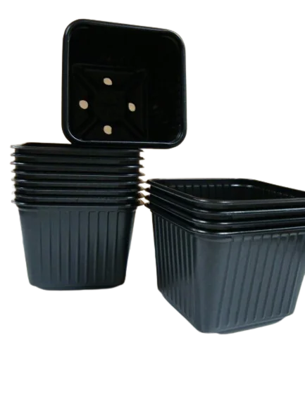 siemenvesa20261015105628314927
