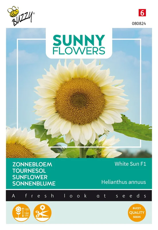 siemenvesa20261015110324316798