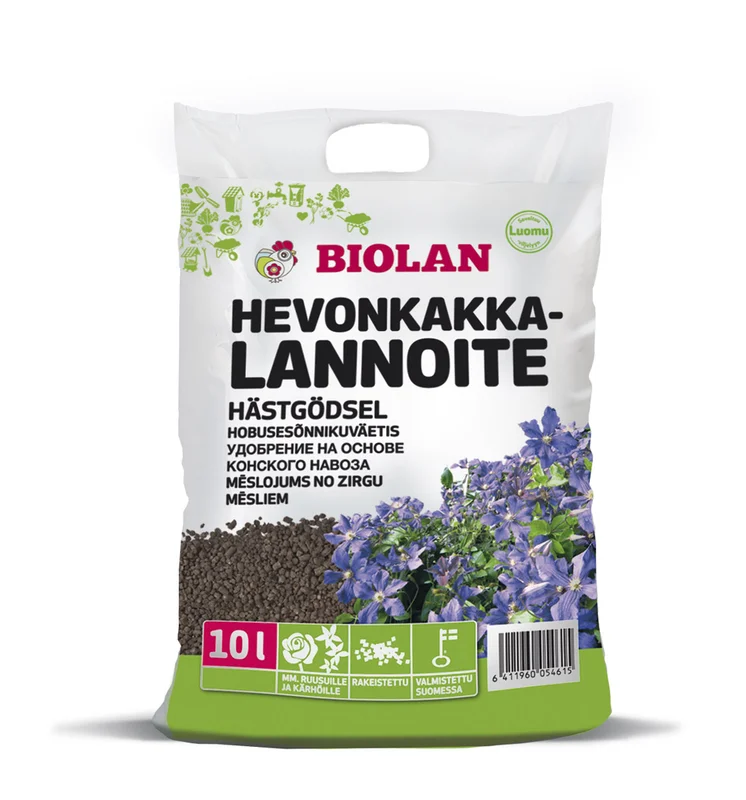 vaasankukkatori20261015103331305928