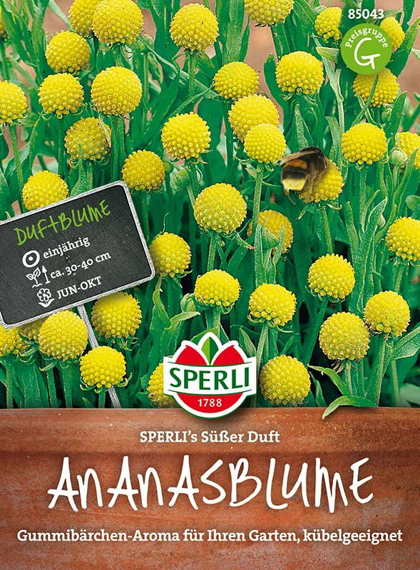 vaasankukkatori20261015104005309202