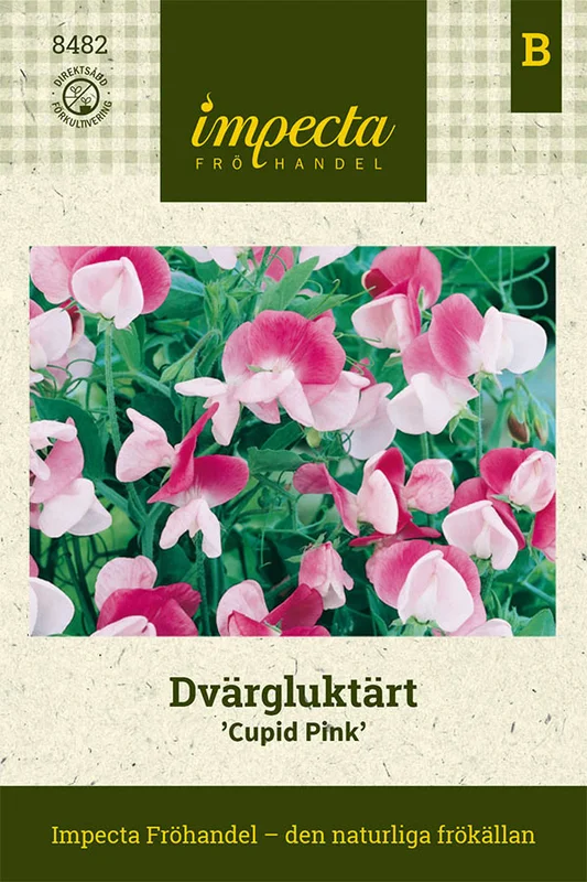 vaasankukkatori20261015104157309960