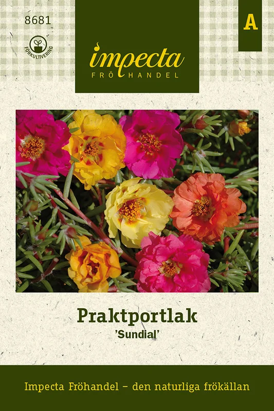 vaasankukkatori20261015104205310019