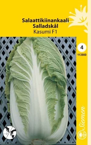 vaasankukkatori20261015104657312038