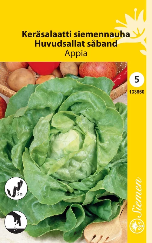 vaasankukkatori20261015104804312399