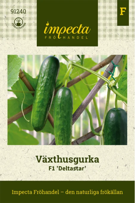 vaasankukkatori20261015105635314969