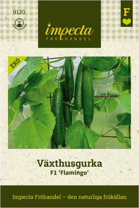 vaasankukkatori20261015110144316366