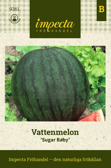 vaasankukkatori20261015110345316899