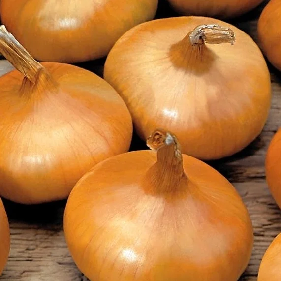 vaasankukkatori20261015110409317006