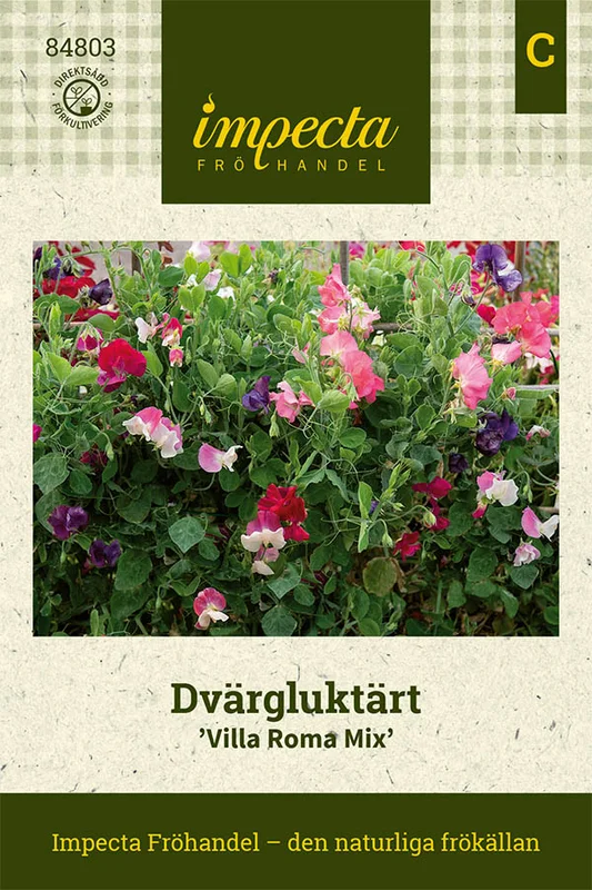 vaasankukkatori20261015111737320181