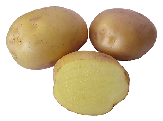 vaasankukkatori20261015112229321198