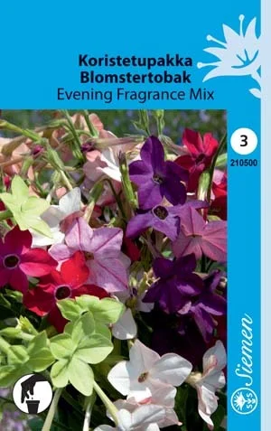 vaasankukkatori20261015112410321419