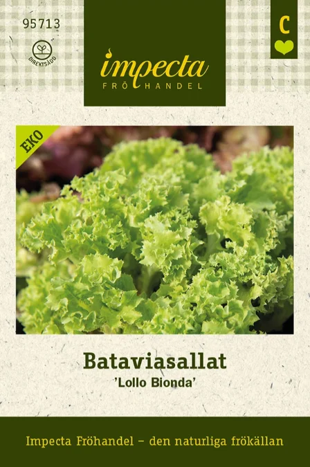 vaasankukkatori20261015112955322082