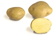 vaasankukkatori20261015113027322160