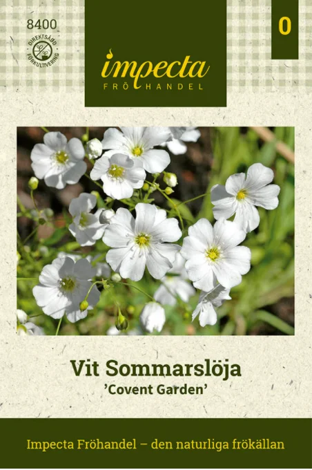 vaasankukkatori20261015113600323105