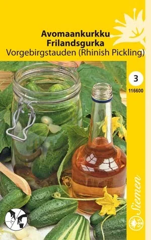 vaasankukkatori20261015113616323155