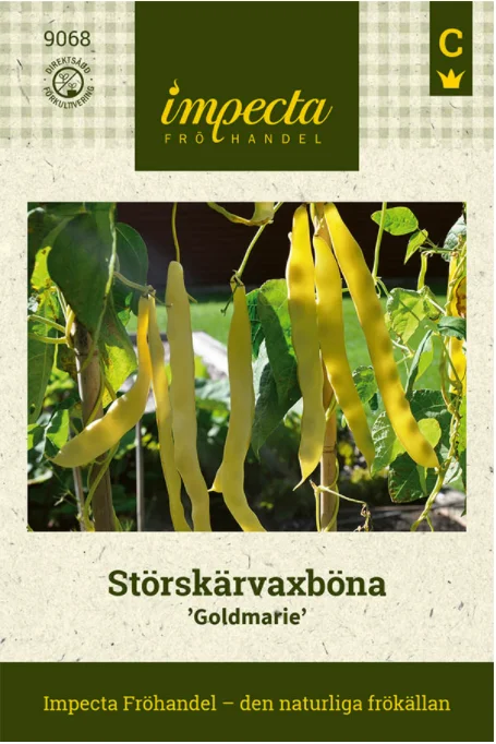 vaasankukkatori20261015115138327512