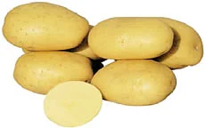 vaasankukkatori20261015115323328724
