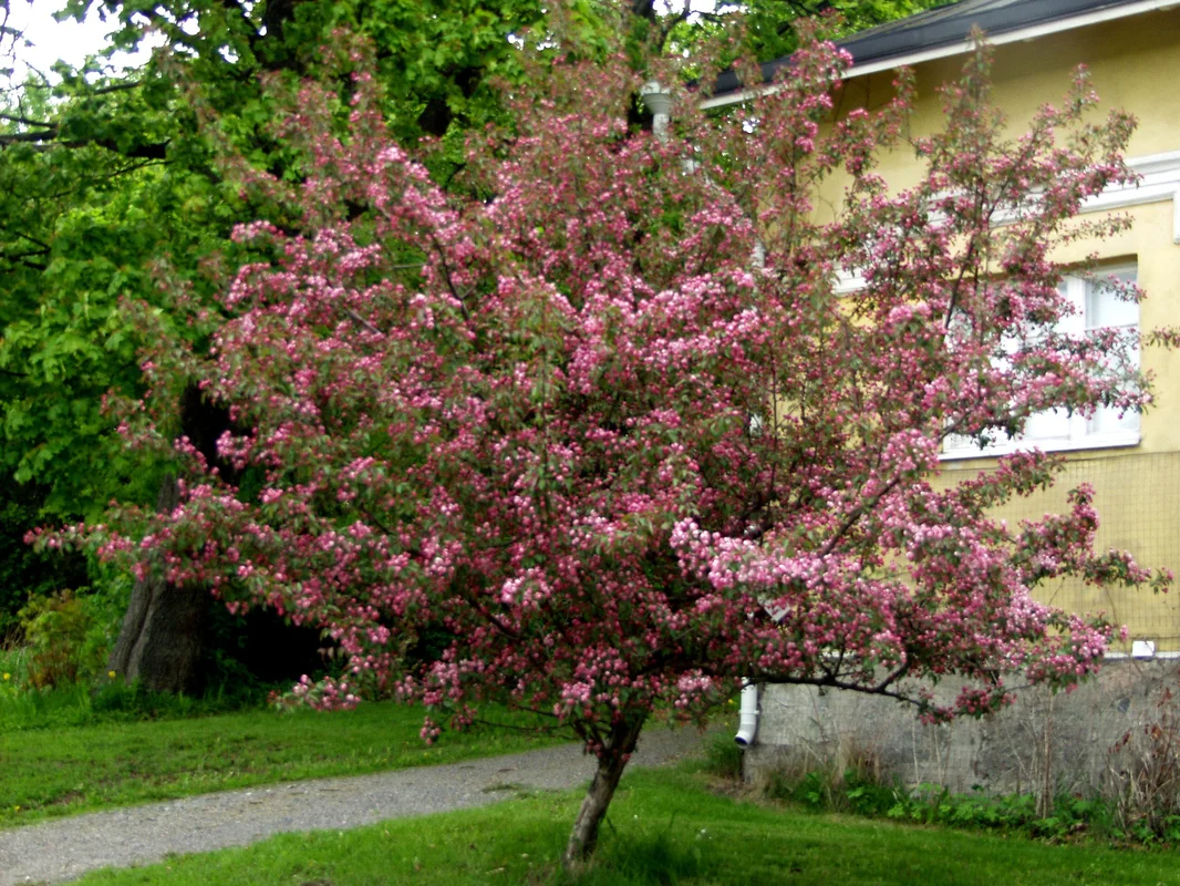 viherkauppa20261015105955315898