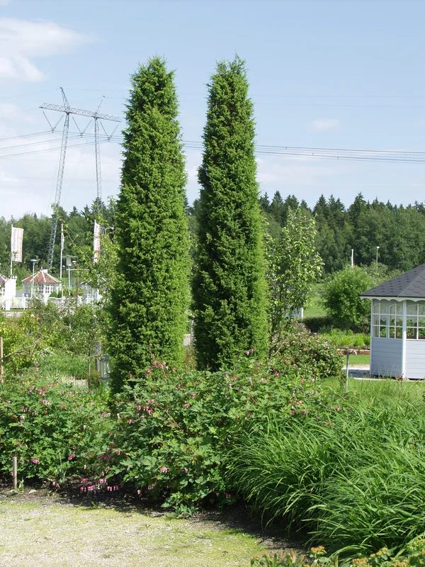 viherkauppa20261015110045316106