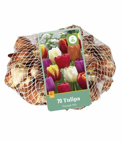 viherkauppa20261015110729317843