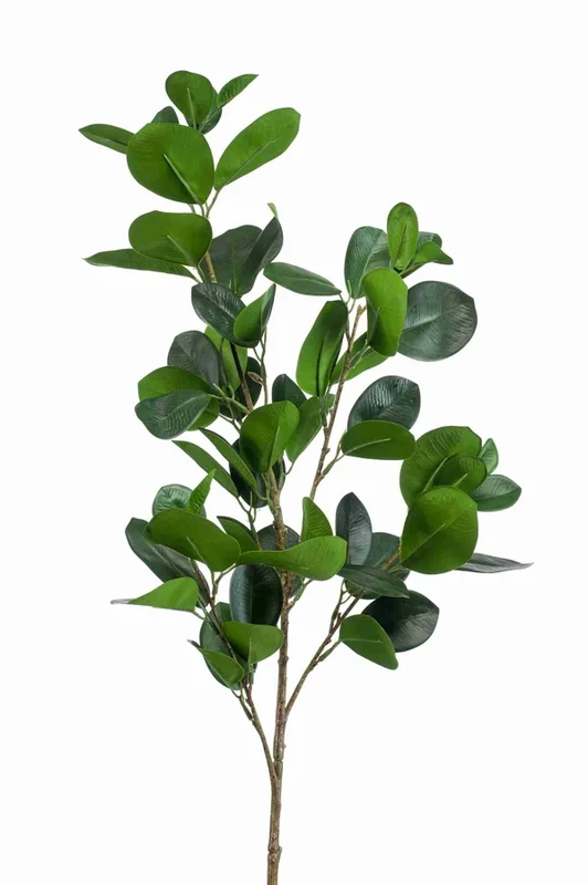viherkauppa20261015111713320097