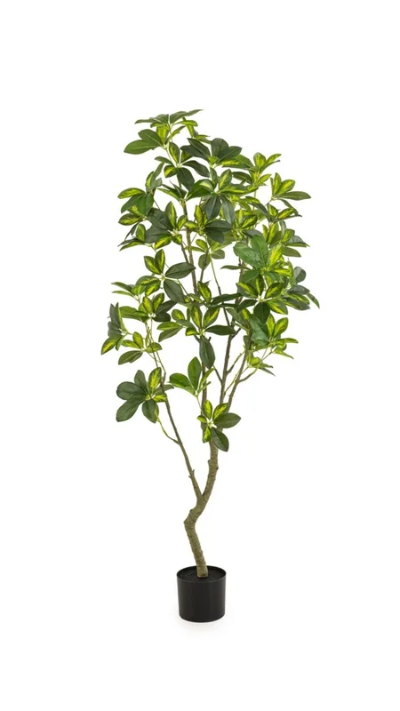 viherkauppa20261015113237322515