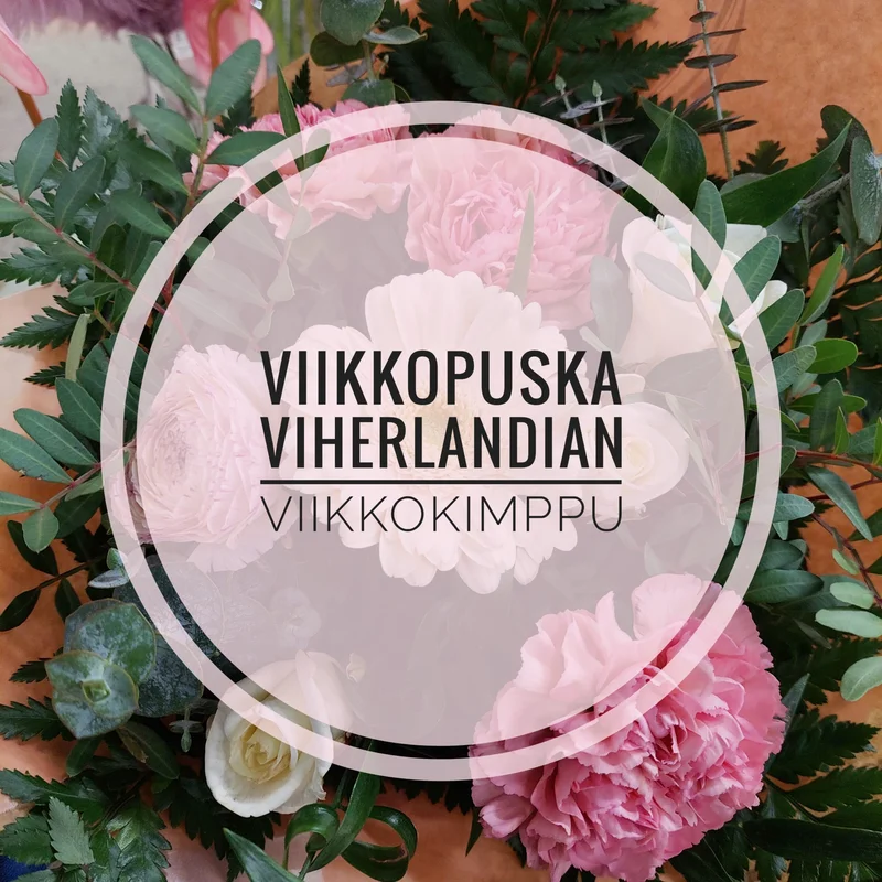 viherkauppa20261015113442322865