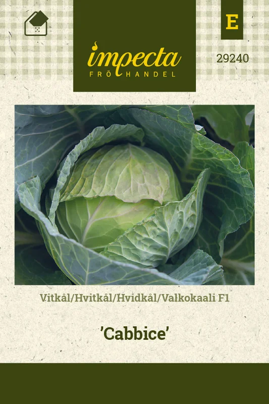 viherkauppa20261015115143327565